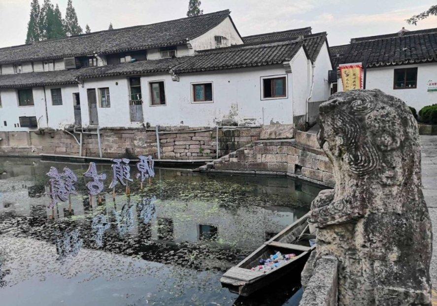 动物帮帮忙保卫家园